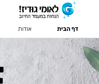 בניית אתרים תיק עבודות